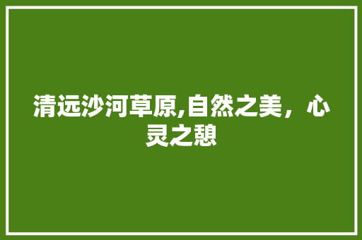 清远沙河草原,自然之美，心灵之憩