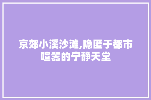 京郊小溪沙滩,隐匿于都市喧嚣的宁静天堂