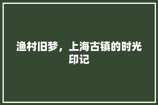 渔村旧梦，上海古镇的时光印记