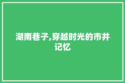 湖南巷子,穿越时光的市井记忆