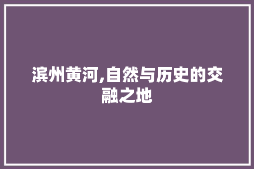 滨州黄河,自然与历史的交融之地