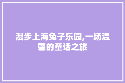 漫步上海兔子乐园,一场温馨的童话之旅