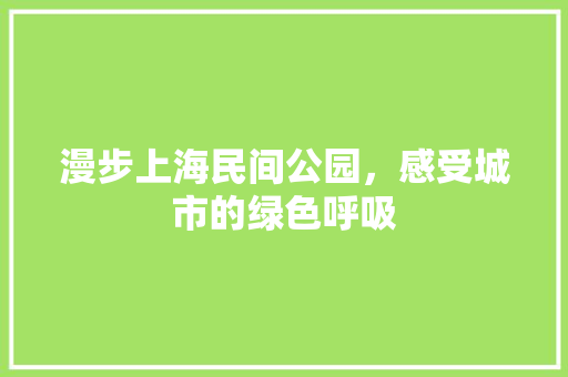 漫步上海民间公园，感受城市的绿色呼吸