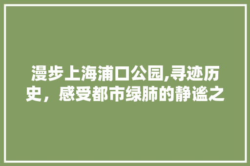 漫步上海浦口公园,寻迹历史，感受都市绿肺的静谧之美