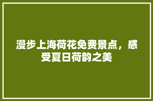 漫步上海荷花免费景点，感受夏日荷韵之美