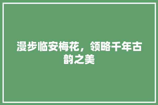 漫步临安梅花，领略千年古韵之美