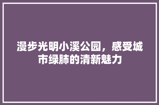 漫步光明小溪公园，感受城市绿肺的清新魅力