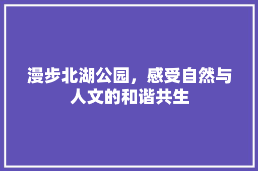 漫步北湖公园，感受自然与人文的和谐共生