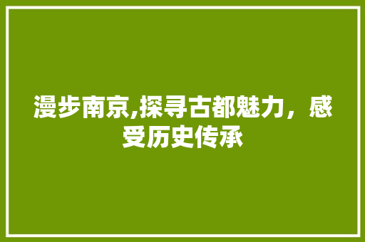 漫步南京,探寻古都魅力，感受历史传承