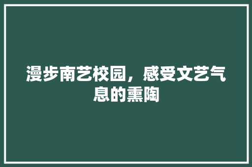 漫步南艺校园，感受文艺气息的熏陶