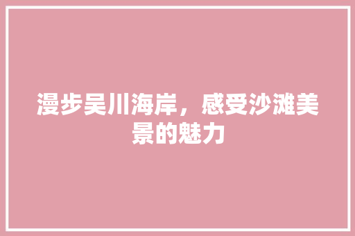 漫步吴川海岸，感受沙滩美景的魅力