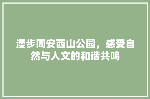 漫步同安西山公园，感受自然与人文的和谐共鸣