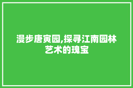 漫步唐寅园,探寻江南园林艺术的瑰宝