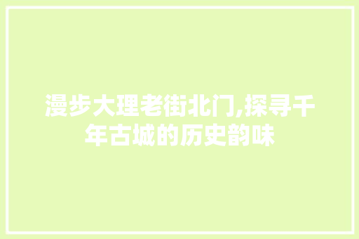 漫步大理老街北门,探寻千年古城的历史韵味