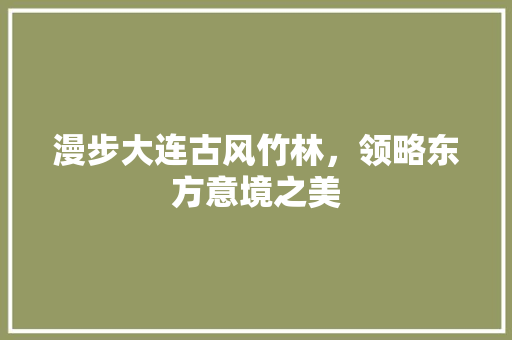 漫步大连古风竹林，领略东方意境之美