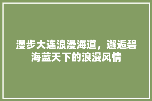 漫步大连浪漫海道，邂逅碧海蓝天下的浪漫风情