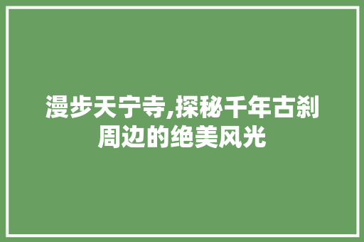 漫步天宁寺,探秘千年古刹周边的绝美风光