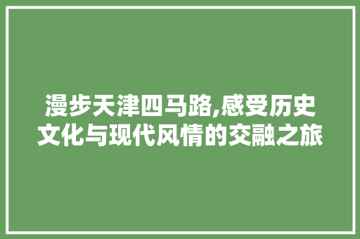 漫步天津四马路,感受历史文化与现代风情的交融之旅