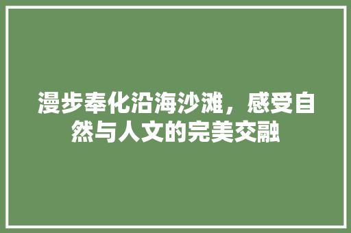 漫步奉化沿海沙滩，感受自然与人文的完美交融