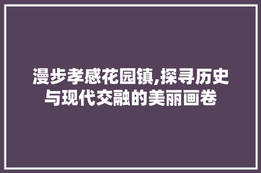 漫步孝感花园镇,探寻历史与现代交融的美丽画卷