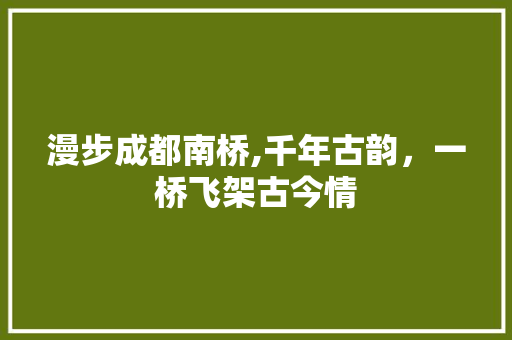 漫步成都南桥,千年古韵，一桥飞架古今情