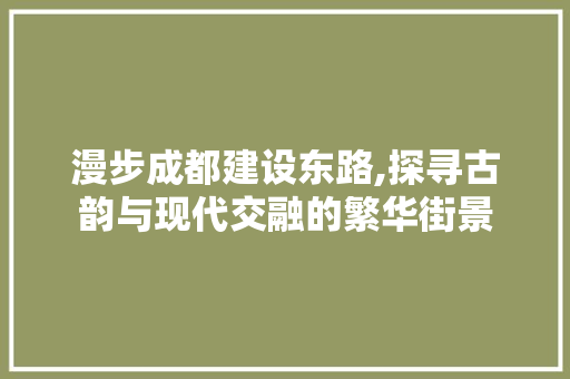 漫步成都建设东路,探寻古韵与现代交融的繁华街景