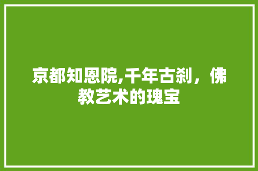 京都知恩院,千年古刹，佛教艺术的瑰宝