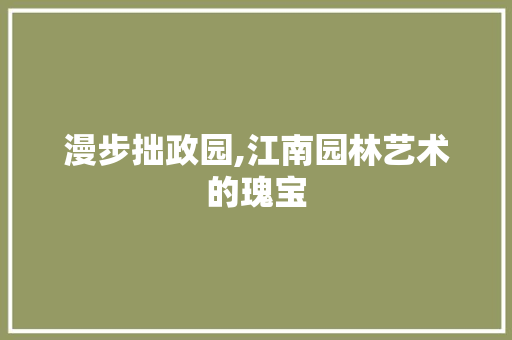 漫步拙政园,江南园林艺术的瑰宝