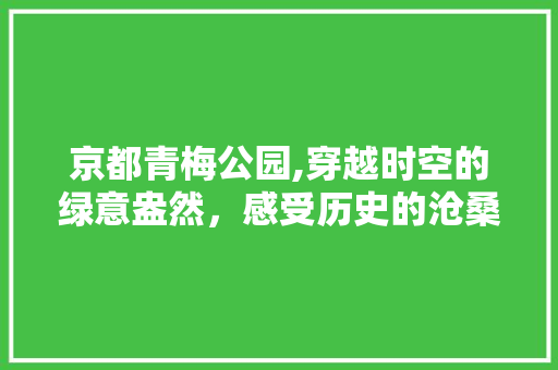 京都青梅公园,穿越时空的绿意盎然，感受历史的沧桑变迁  第1张