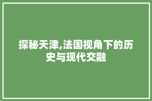 探秘天津,法国视角下的历史与现代交融