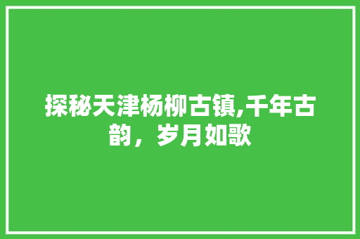 探秘天津杨柳古镇,千年古韵，岁月如歌