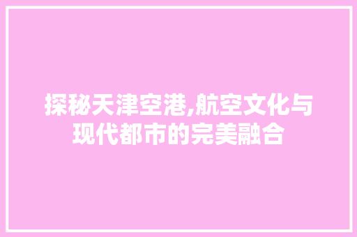 探秘天津空港,航空文化与现代都市的完美融合