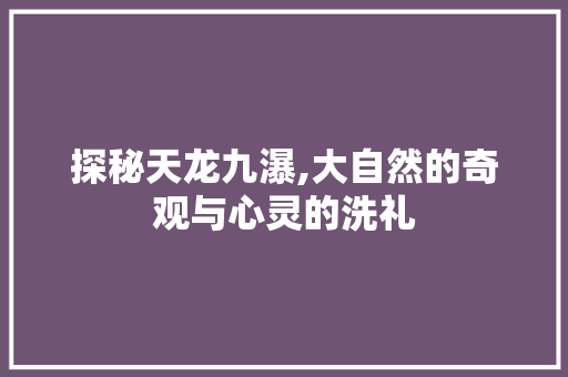 探秘天龙九瀑,大自然的奇观与心灵的洗礼