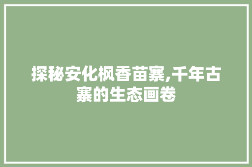 探秘安化枫香苗寨,千年古寨的生态画卷