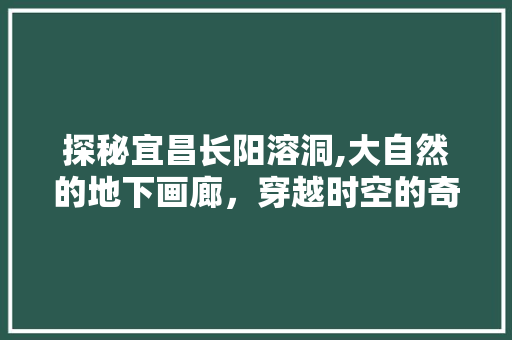 探秘宜昌长阳溶洞,大自然的地下画廊，穿越时空的奇观之旅