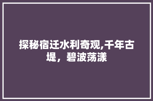 探秘宿迁水利奇观,千年古堤，碧波荡漾