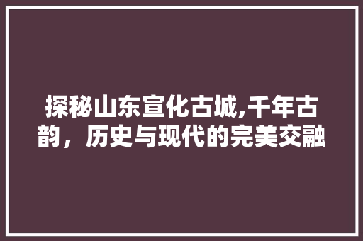 探秘山东宣化古城,千年古韵，历史与现代的完美交融