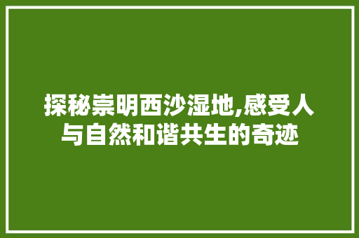 探秘崇明西沙湿地,感受人与自然和谐共生的奇迹