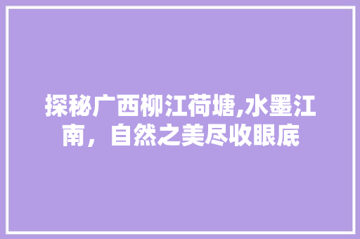 探秘广西柳江荷塘,水墨江南，自然之美尽收眼底