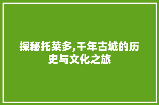 探秘托莱多,千年古城的历史与文化之旅