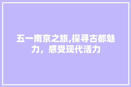 五一南京之旅,探寻古都魅力，感受现代活力