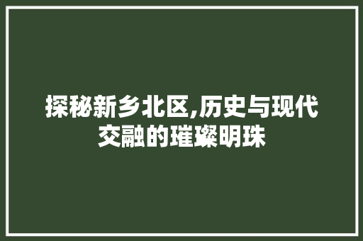 探秘新乡北区,历史与现代交融的璀璨明珠