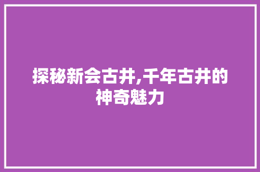 探秘新会古井,千年古井的神奇魅力