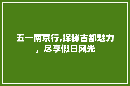 五一南京行,探秘古都魅力，尽享假日风光