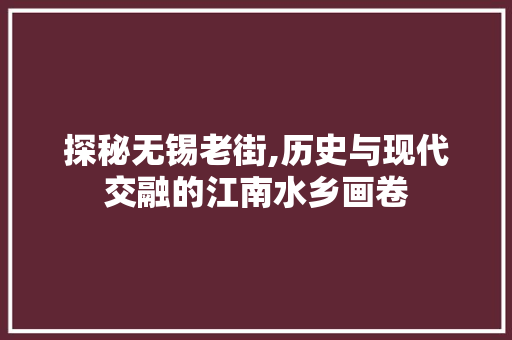 探秘无锡老街,历史与现代交融的江南水乡画卷