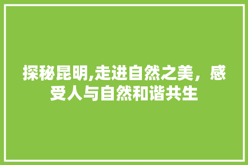 探秘昆明,走进自然之美，感受人与自然和谐共生