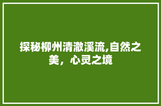 探秘柳州清澈溪流,自然之美，心灵之境