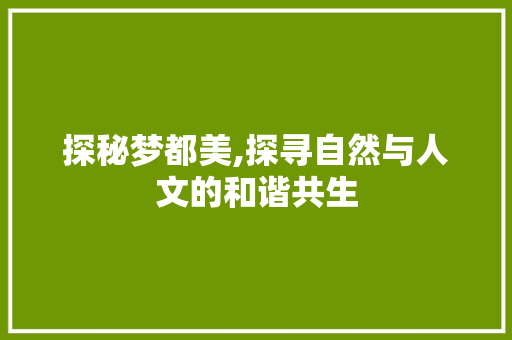 探秘梦都美,探寻自然与人文的和谐共生