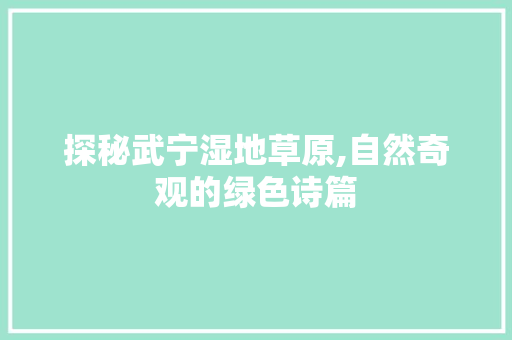 探秘武宁湿地草原,自然奇观的绿色诗篇