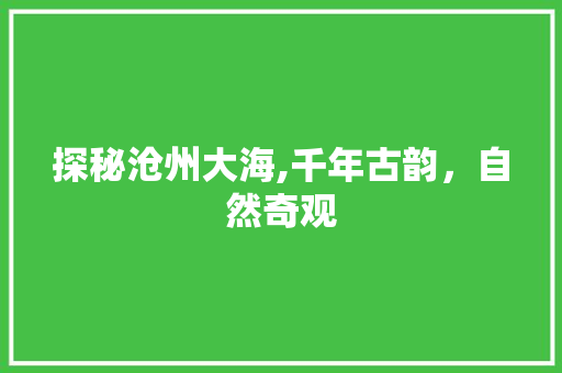 探秘沧州大海,千年古韵，自然奇观